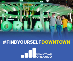 Medium Rectangle – 300×250