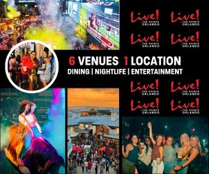 Medium Rectangle – 300×250