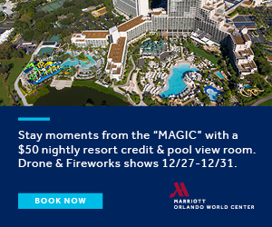 Medium Rectangle – 300×250