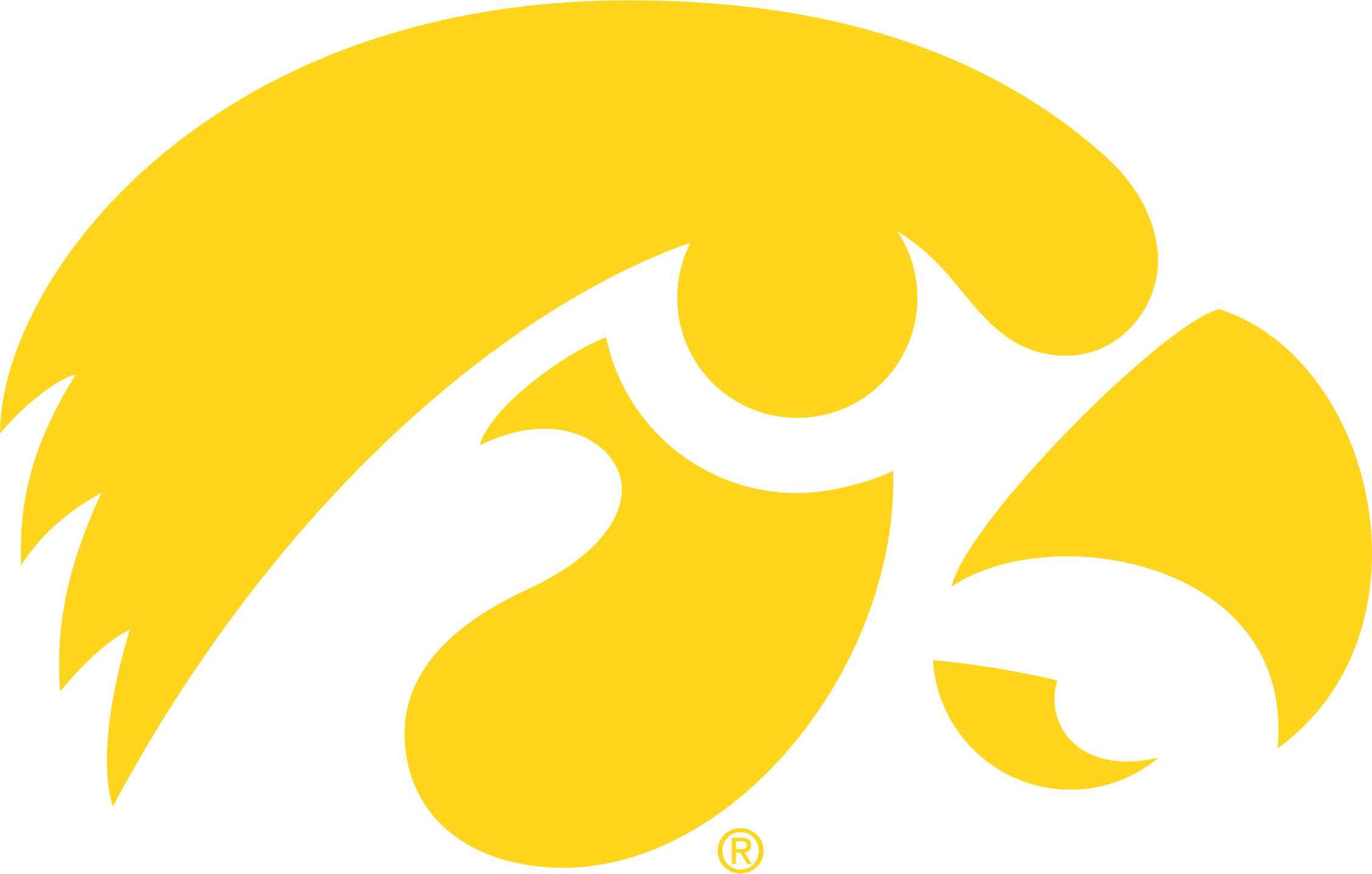 No. 17 Iowa Logo