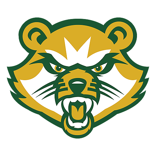 St. Vincent Logo