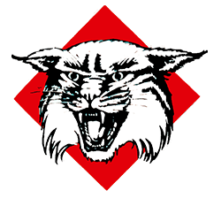 Davidson Logo